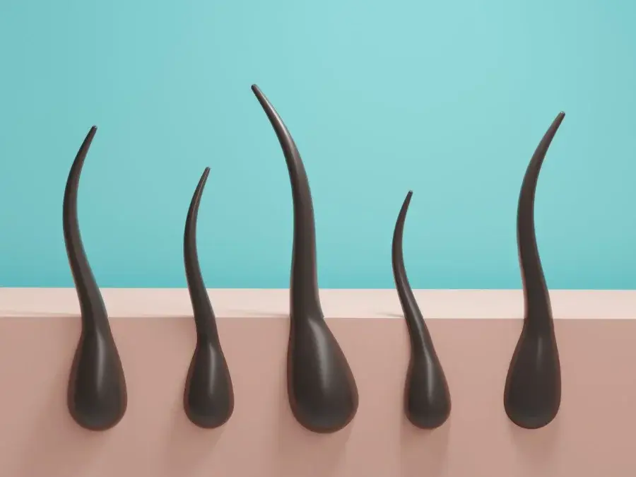 Hair Growth