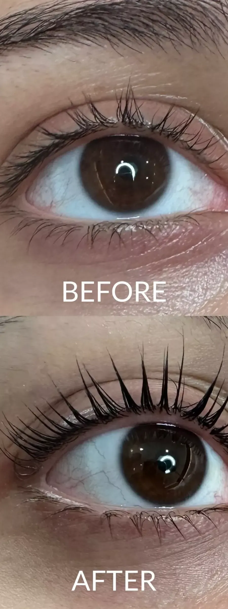 πριν και μετά Lash Lift : Τι είναι, Πόσο διαρκεί και πόσο κοστίζει; στα μάτια